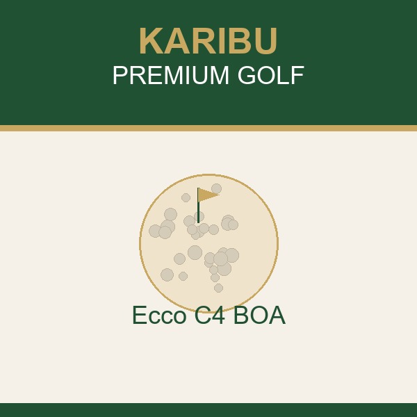 Ecco C4 BOA
