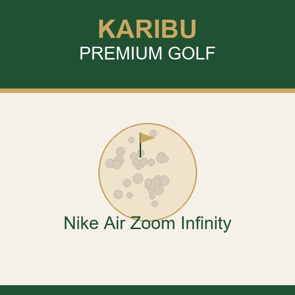 Nike Air Zoom Infinity